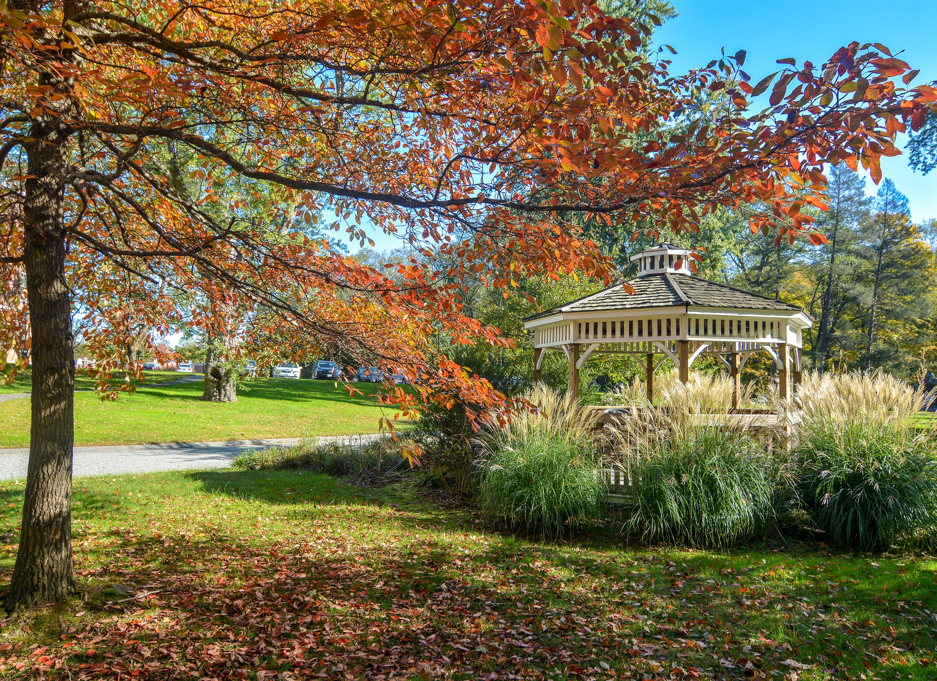 Notre Dame Hospice